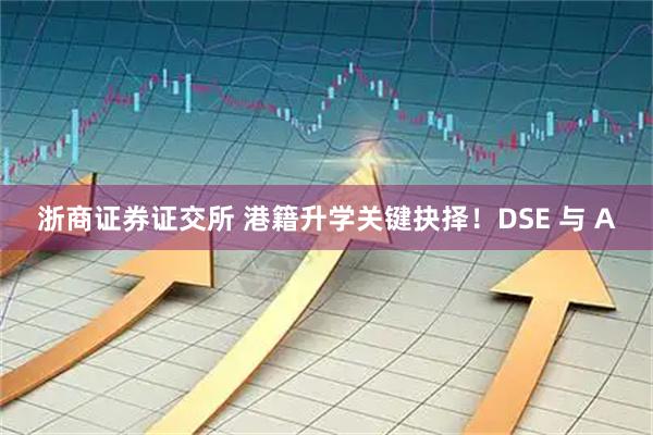 浙商证券证交所 港籍升学关键抉择！DSE 与 A